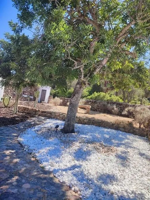 Authentic Finca Ibicenco With Large Pool Ibiza España
